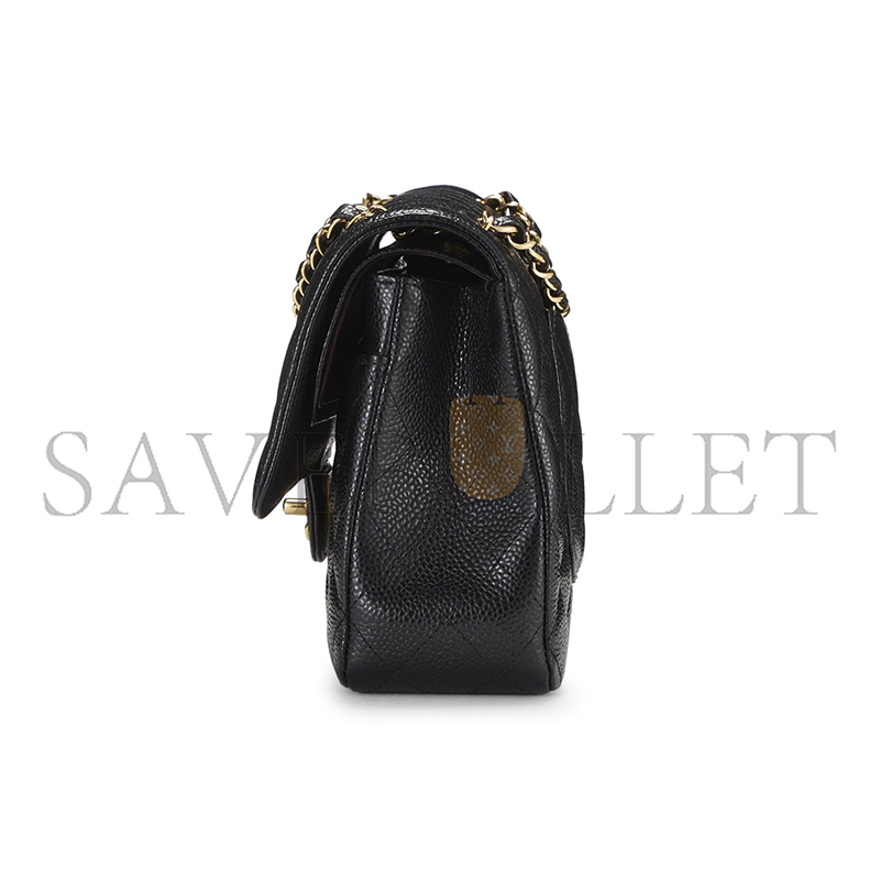 CHANEL MEDIUM DOUBLE FLAP BAG 1168966 (25*15*6cm)